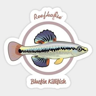 Bluefin Killifish Sticker